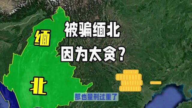 被骗缅北是因为太贪心?网红喻言老师鄙视赌心重的人