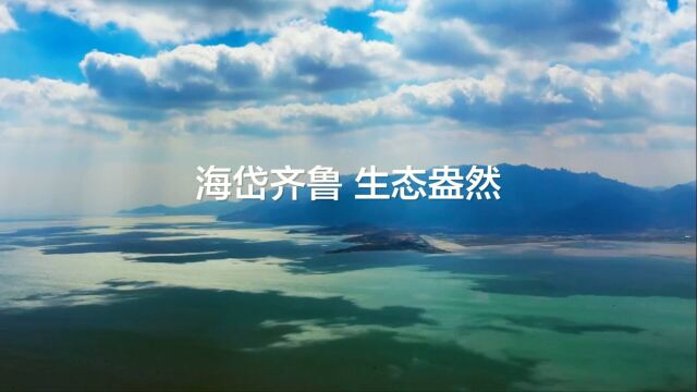 山河湖海入画来!3分钟遇见最美山东