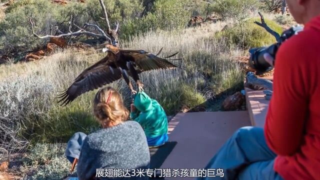 九大远古生物生物奇闻异事 1