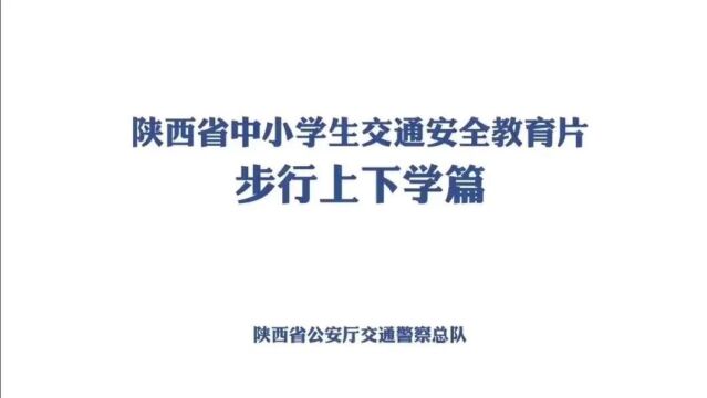 视频 || 冬季交通安全出行教育警示合集