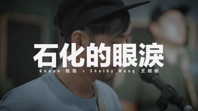 Goose我鸟x王晓敏《石化的眼泪》MV