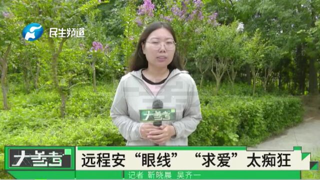 河南洛阳:女子直播分享生活,被“榜一大哥”监控?竟因示爱被拒?