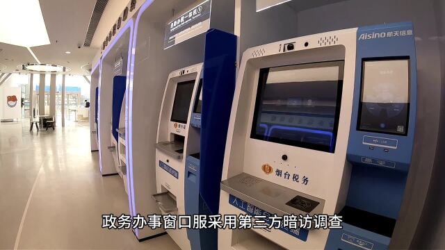 政务办事窗口采用第三方暗访调查类型有哪些?