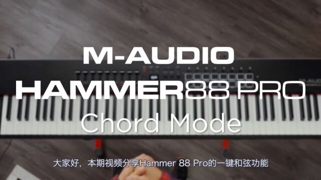 【中字】和弦模式|MAudio Hammer 88 Pro教程 || 和弦模式