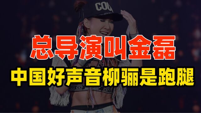 “中国好声音”的总导演叫金磊,实控人叫田明,柳骊仅是个跑腿