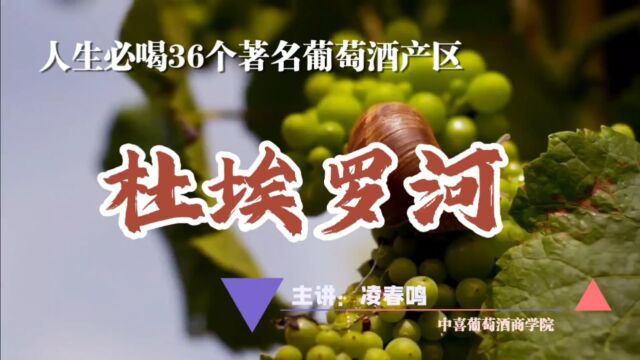 一生必喝的36个葡萄产区,杜埃罗河