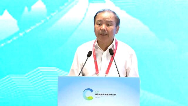 绿色低碳大咖谈丨向海平:预计2023年 我国可再生能源新增装机将超过全球新增装机的一半