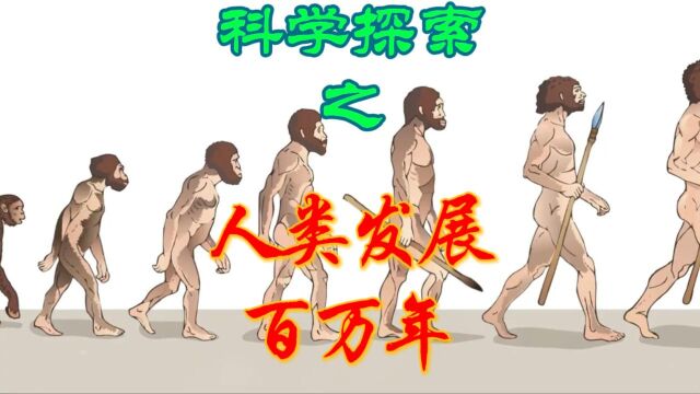 科学探索之探索人类历史百万年发展史