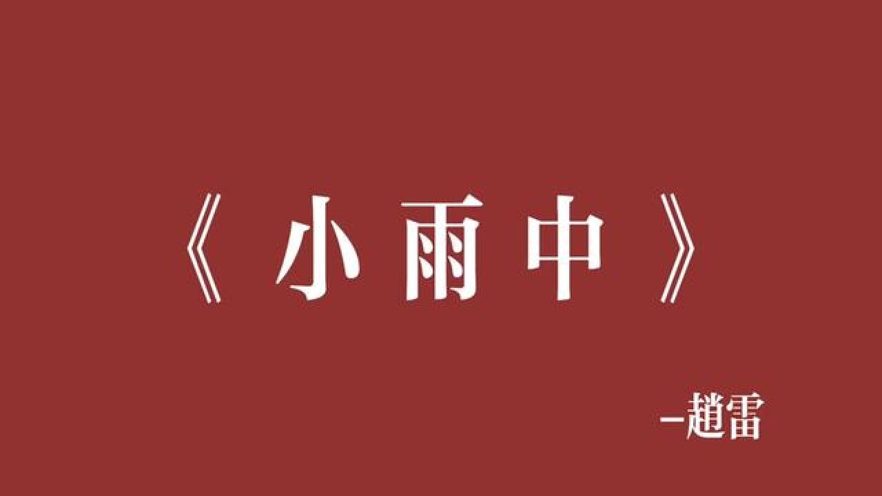 我会洗净枕旁你留下的余香!#赵雷 #小雨中 #一首民谣一个故事