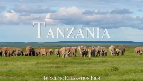 坦桑尼亚 | 4K 风景休闲影片