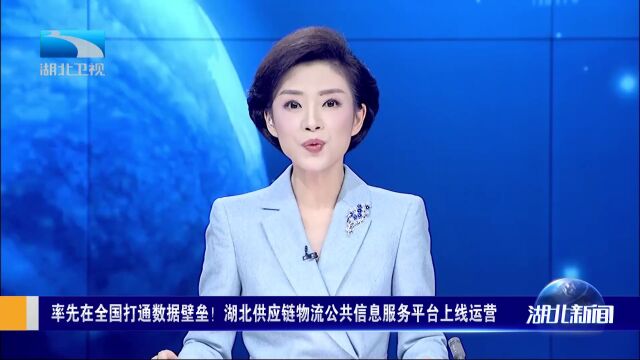 湖北供应链物流公共信息服务平台上线运营