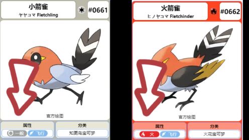 浴火重生 硬钢神兽—火焰之躯 烈箭鹰 #宝可梦 #神奇宝贝 #宠物小精灵