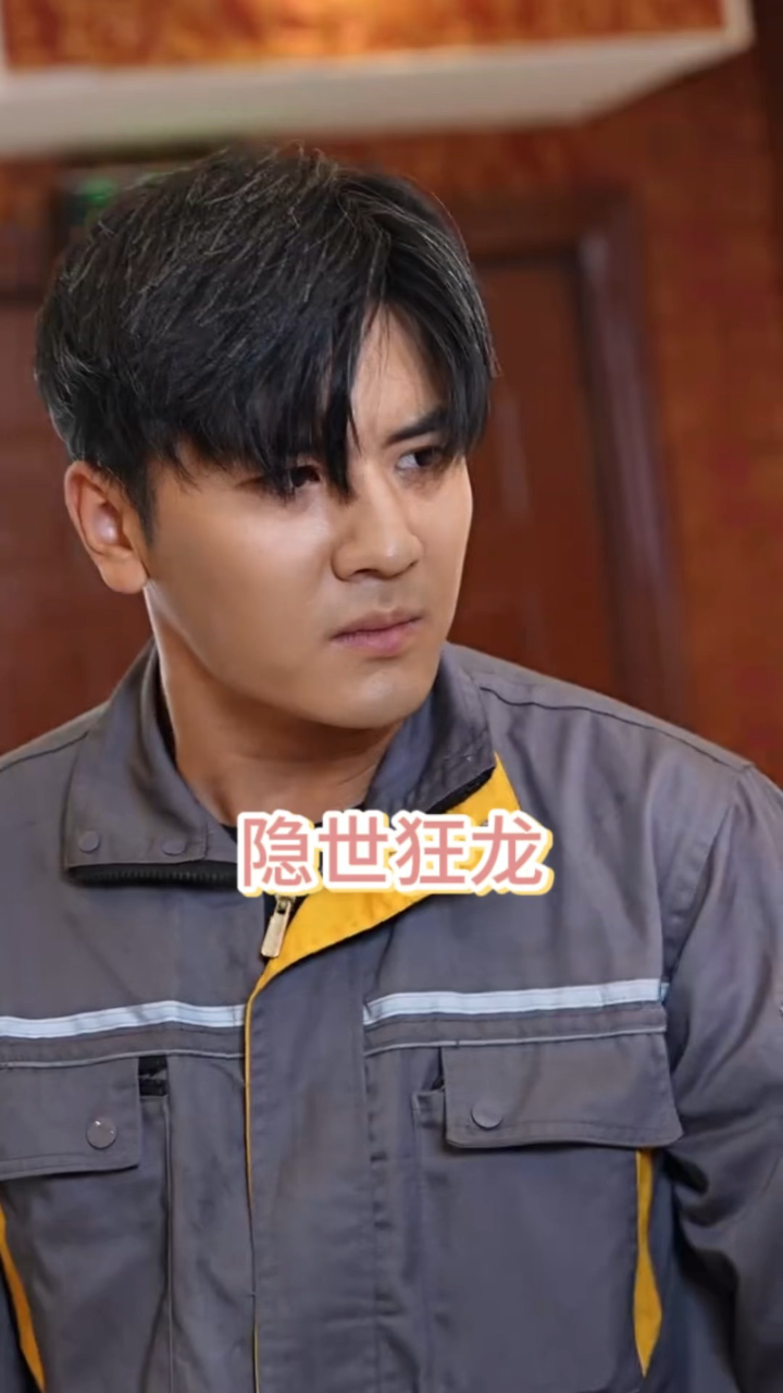 《隐世狂龙》全集完整版