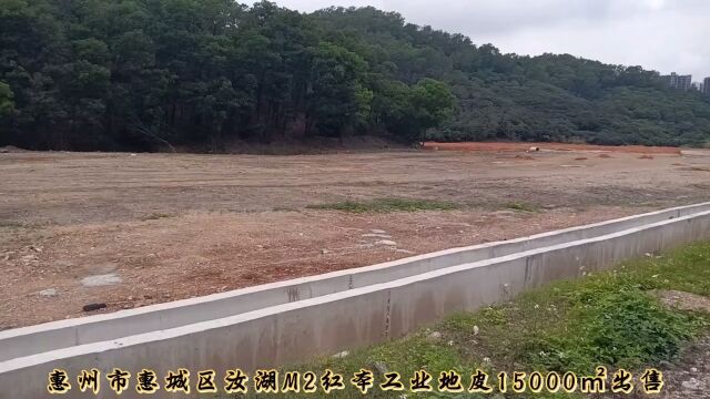 惠州市惠城区汝湖M2红本工业地皮15000㎡出售,卖方包过户费用.999元/㎡.规划已查,可正常报建.剩余年限24年,可续期.