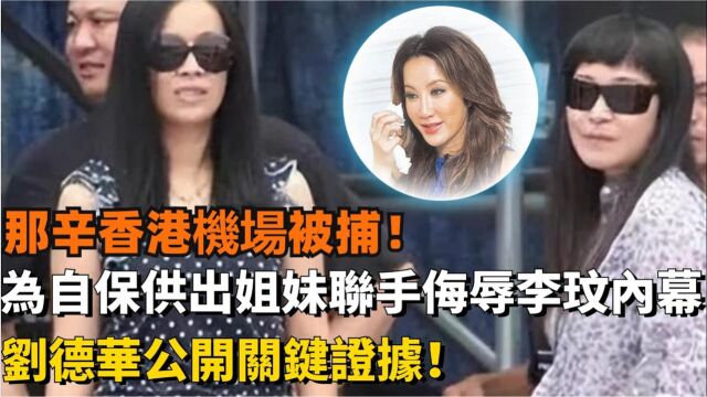 那辛香港机场被捕?为自保不惜供出姐妹联手内幕!刘德华也惨遭拖下水!网友:难怪那英著急出售4.5亿豪宅!