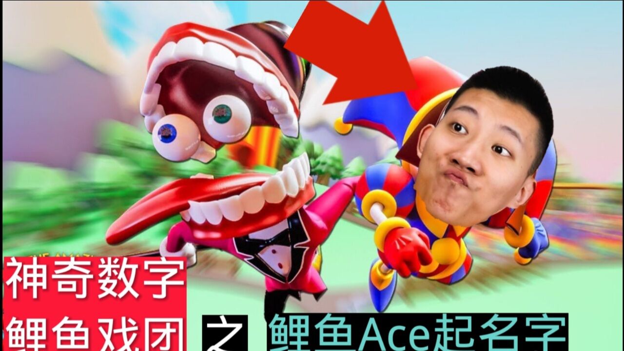 鲤鱼ACE起名称《神奇数字鲤鱼团》_高清