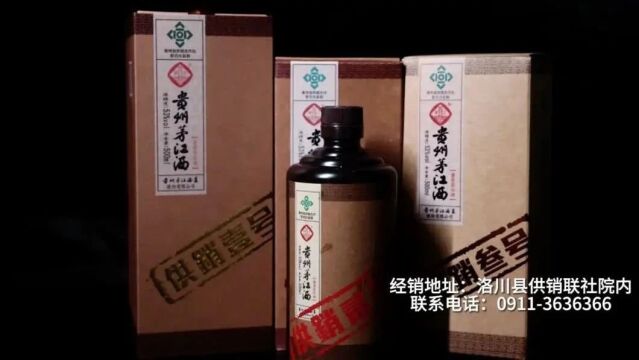 绥德县来洛川县考察苹果产业发展情况