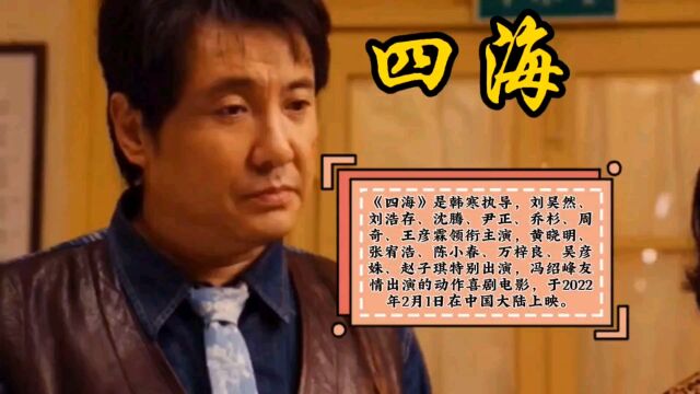 四海,沈腾领衔主演的动作喜剧电影,喜欢搞笑电影的可以看看原片