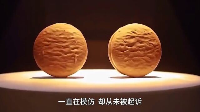 专注模仿20年!食品界的“山寨王”