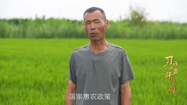 《习语阡陌》第三季 第二十六期