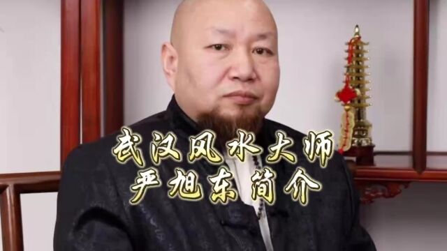 武汉风水大师严旭东简介