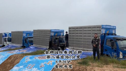 金翔国际赛鸽公棚首站零公里训放视频回顾