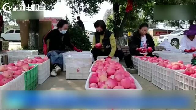 太原迎泽区 零工市场 灵活就业有保障