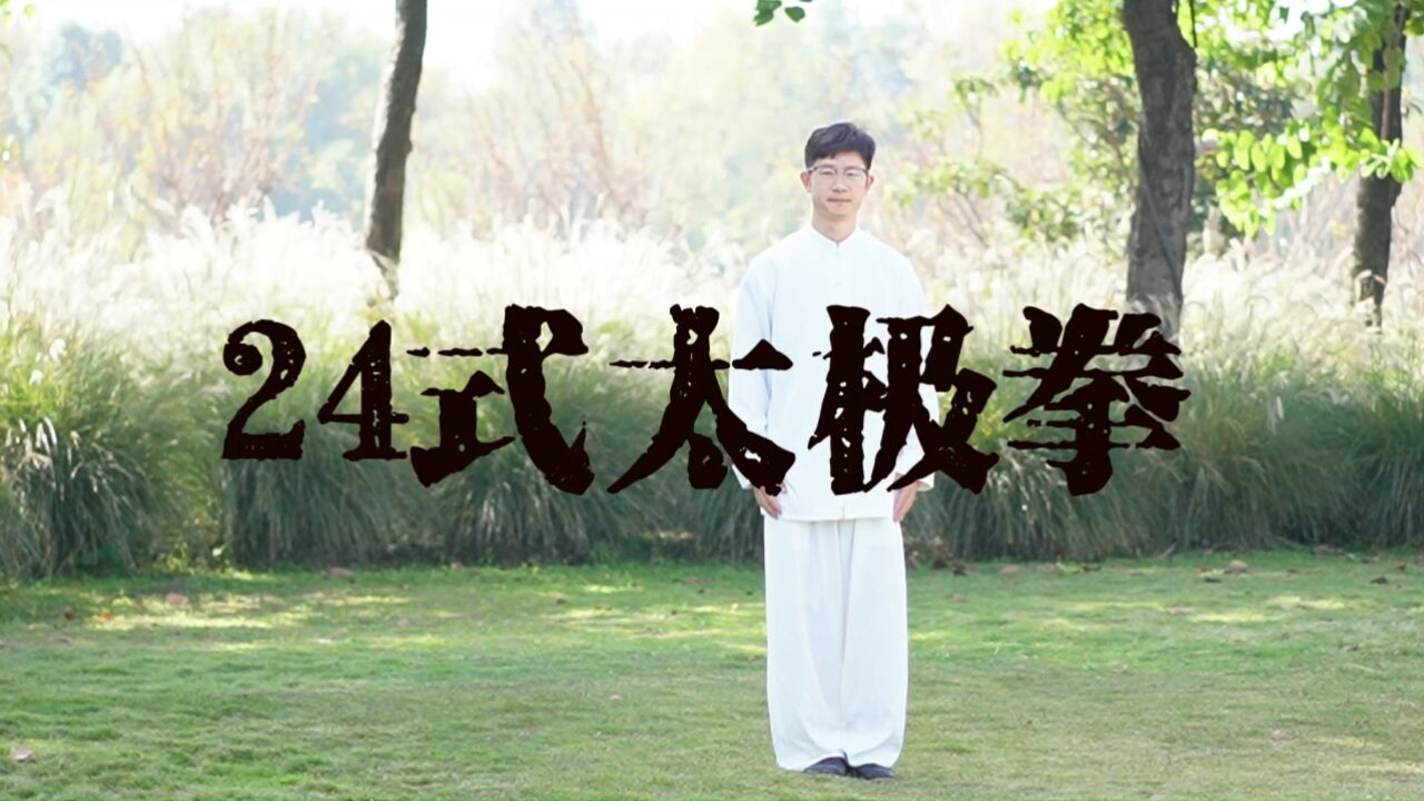 太极拳24式动作图片