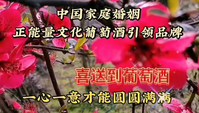 石榴花美景欣赏,鲜花争奇斗艳,姹紫嫣红真好看,心情美美哒!