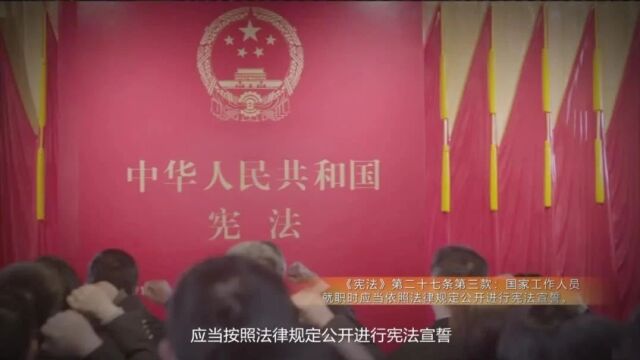 宪法宣传周 | 全国“我与宪法”微视频征集活动获奖作品赏析