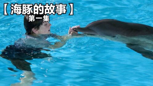 一条没有尾巴海豚却学会了游泳，最后激励了无数人！第一集