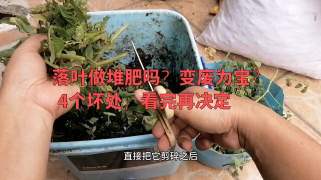 落叶做堆肥吗?变废为宝?4个坏处,看完再决定