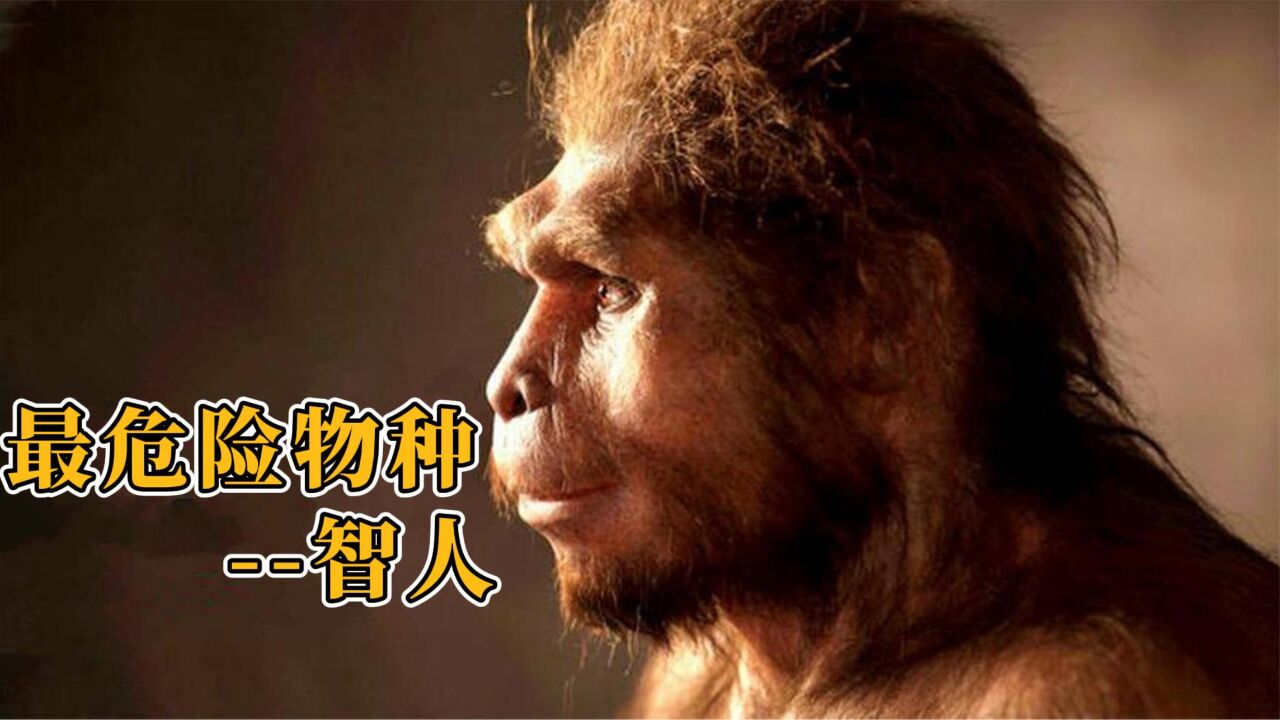 最危险的物种,如何成为地球的主宰!揭秘你所不了解的智人