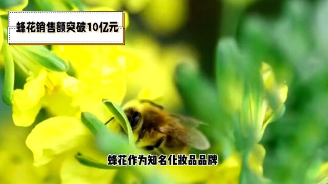 蜂花销售额突破10亿元