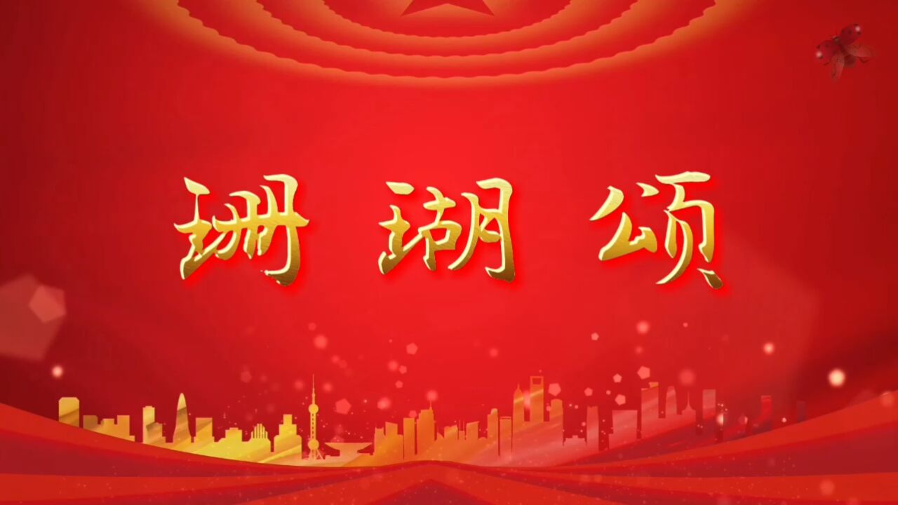 珊瑚颂 红色歌曲mv配乐歌曲春节喜庆晚会舞台配乐大屏幕高清led背景