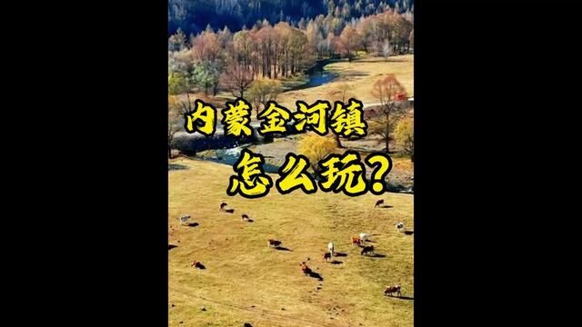 中秋国庆不知道怎么过的小伙伴!看完这条视频~秋天是内蒙金河镇最美的季节之一,大自然将展现出迷人的秋色.