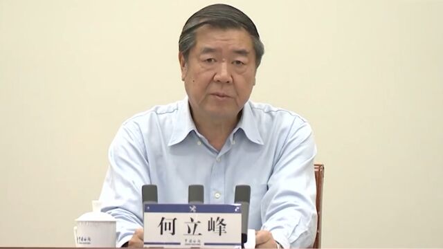 何立峰出席海关队伍授予关衔20周年大会