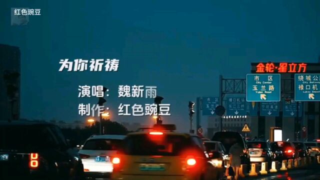 魏新雨一曲《为你祈祷》,太感人了,听哭了世间有情人!