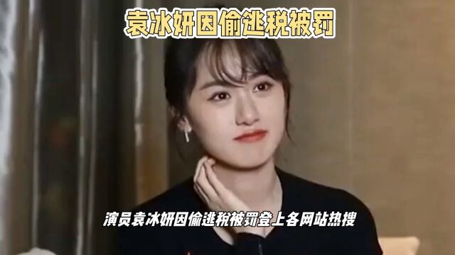 袁冰妍偷逃税被罚,央视点评又一次逃税