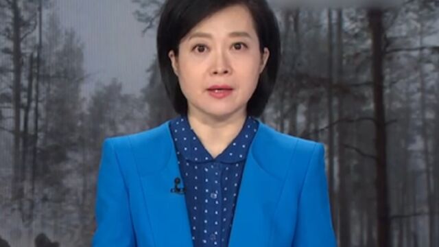 丹麦将向乌克兰提供新的财政和军事支持,总价为58亿丹麦币,约合60.8亿人民币