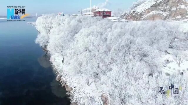 央媒眼中的吉林(2023.12.07)丨“猫冬”变“忙冬” 人气汇吉林