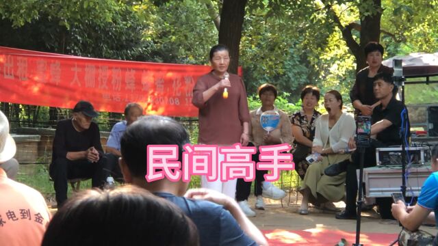 民间艺术义演