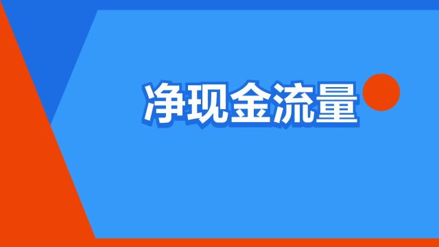 “净现金流量”是什么意思?