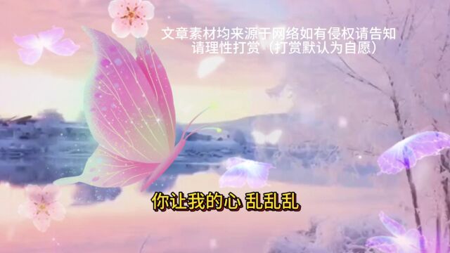 珍惜平淡的日子,幸福会悄悄降临