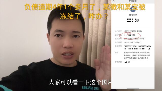 负债逾期4年1个多月了,某微和某宝被冻结了,咋办?