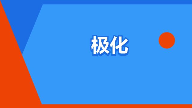 “极化”是什么意思?