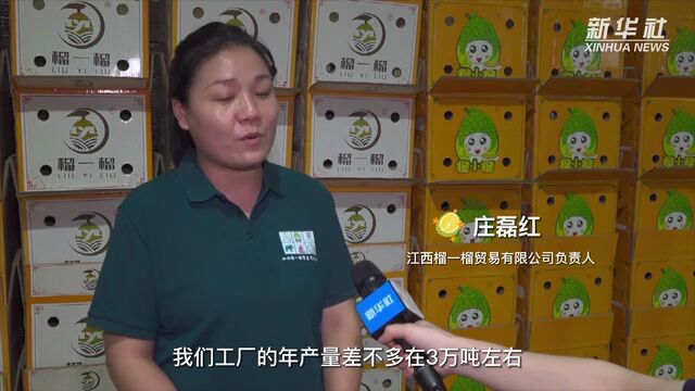 越南榴莲出口记:连接中越民众味蕾