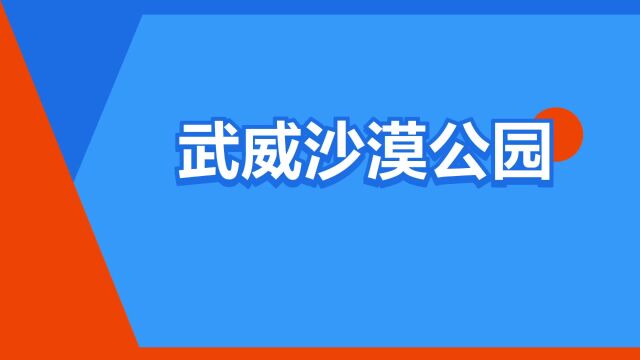 “武威沙漠公园”是什么意思?