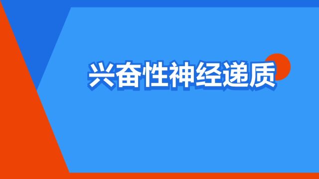 “兴奋性神经递质”是什么意思?