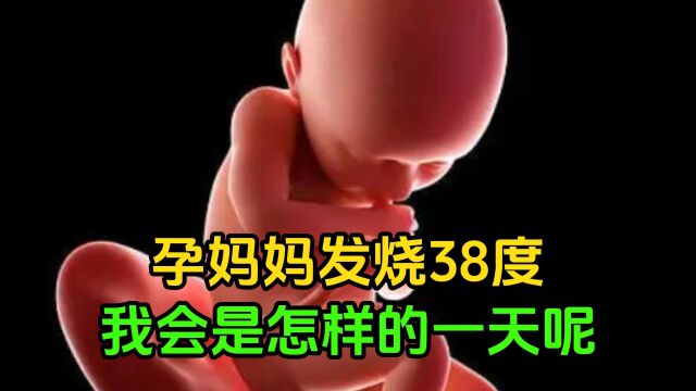 孕妈妈发烧38度,我会是怎样的一天呢?